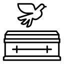SERVICE-icon